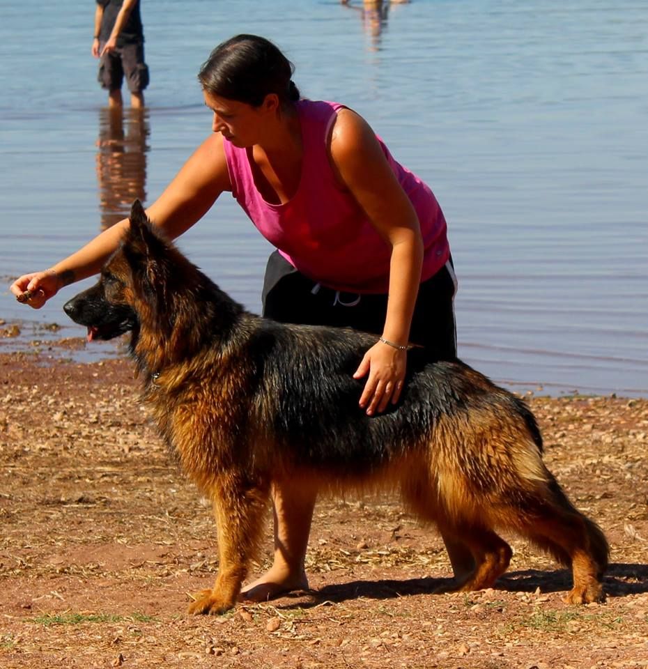 Leîa De La Passion Des Loups